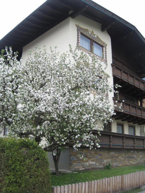 Gaestehaus Braunegger Штумм Екстер'єр фото